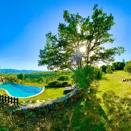 Wild Boar Mountain