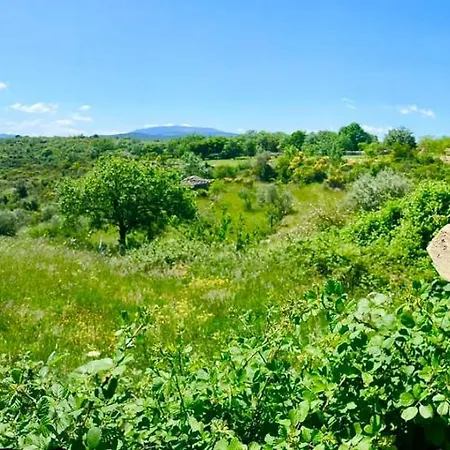 Wild Boar Mountain *