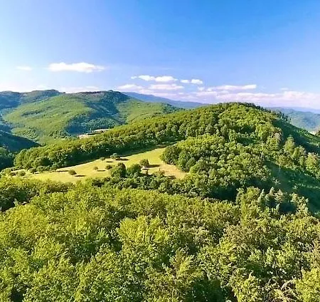 Wild Boar Mountain