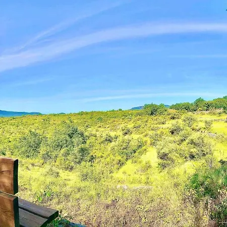 Lodge Wild Boar Mountain