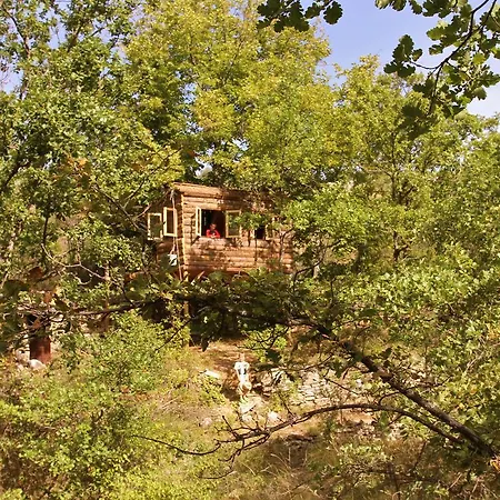 Wild Boar Mountain Lodge Bedarieux
