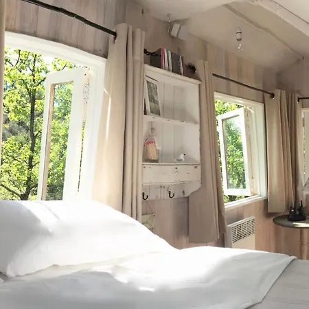 Wild Boar Mountain Lodge