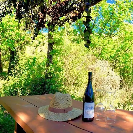 Wild Boar Mountain, South Of France Very Private And Pool Bédarieux